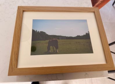 Framed Original print kinnitty Castle