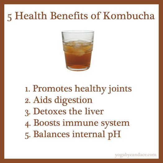 Kombucha scoby