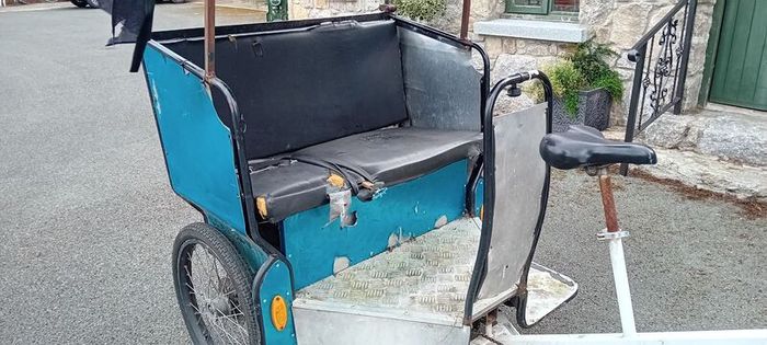 Ebike Rickshaw