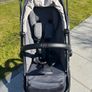 Egg Stroller Image 2