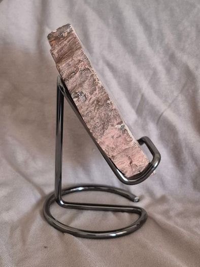 Fossilized wood, Madagascar, Triassic period. With metal display stand.
