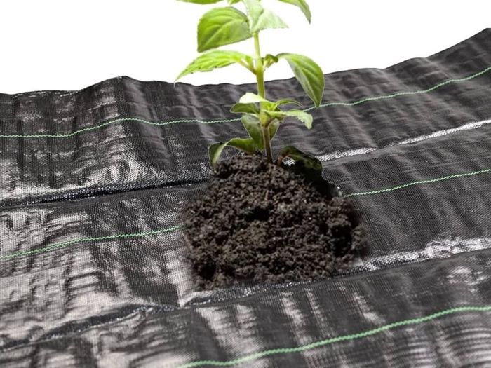 NEW SALE | Heavy Duty Weed Fabric Control 2M X 5M Weed Control Fabric Ground Cover Membrane UV Stabilised Weed Fabric For Patios Garden Flower Beds Landscaping (2M X 5M)