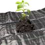 NEW SALE | Heavy Duty Weed Fabric Control 2M X 5M Weed Control Fabric Ground Cover Membrane UV Stabilised Weed Fabric For Patios Garden Flower Beds Landscaping (2M X 5M) Image 3