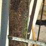 Iron gate frame Image 4