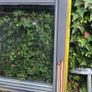 Vulex Window (skylight) Image 5