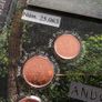 2 euro coin Image 8