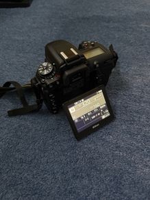 Nikon D7500 & Tamron 150-600mm & 18-140mm & 50mm Lens