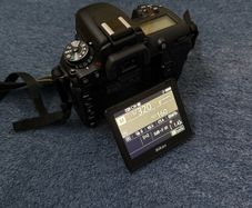 Nikon D7500 & Tamron 150-600mm & 18-140mm & 50mm Lens