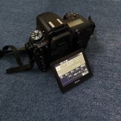 Nikon D7500 & Tamron 150-600mm & 18-140mm & 50mm Lens