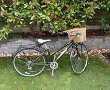 womens bike