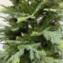 christmass tree Image 4
