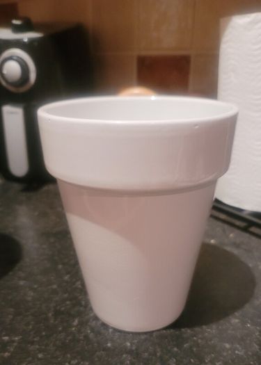Ceramic Infoor/Outdoor Plant Pots x2