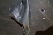 Genuine BMW E46 Leather Emergency Hand Break Boot