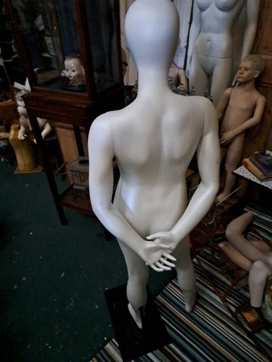 Teenage Mannequin