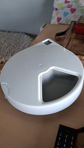 Electronic cat feeder