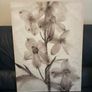 Canvas Pictures all sold together Image 5