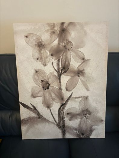 Canvas Pictures all sold together