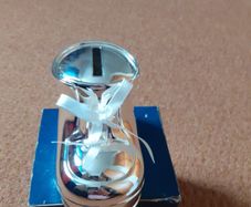 Silver Plated Money Box Unisex