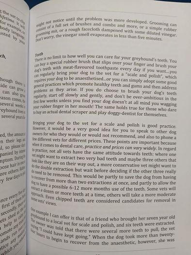 Understanding Greyhounds - Mary Fox