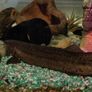aquarium Image 2