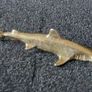 3 brass animals. Solid brass. Image 6