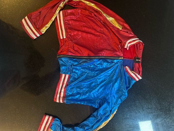 Harley Quinn jacket and wig