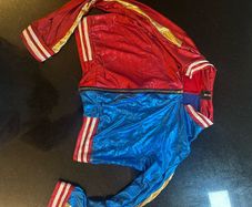 Harley Quinn jacket and wig