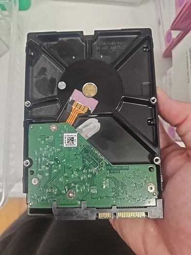 Western Digital AV-Gp