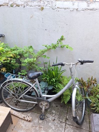 Bike Giant expression