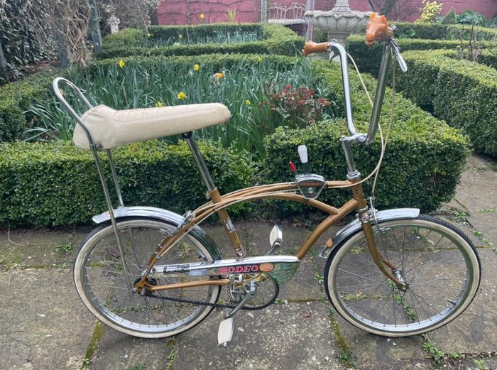 Raleigh rodeo vintage bike