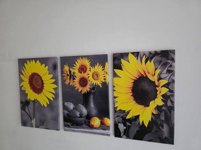 3 canvas framed 35x55cm