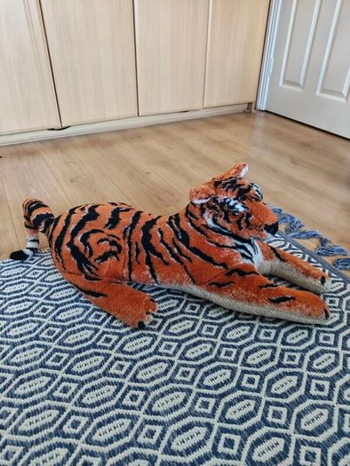 Teddy tiger