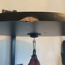 Speed bag Image 3