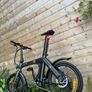 Fiido D21 Electric Bike Image 7