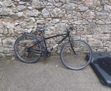 Kids Frog 69 bike