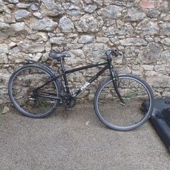 Kids Frog 69 bike