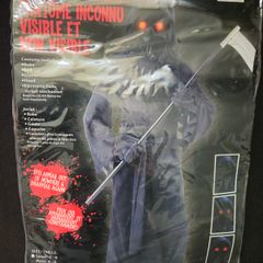 Halloween Costume 'Unknown Phantom'