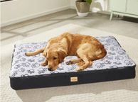 main image for ad Extra Large Jumbo Dog Pillow Bed Waterproof Pet Cushion Mat Sleep Bed with Removable Cover for Large Dogs