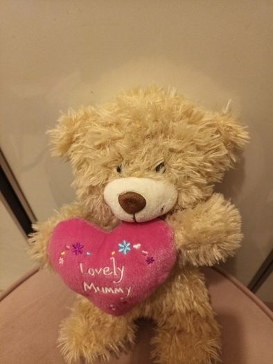 Mothers day Teddy brand new