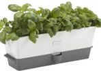 Cole & Mason Self-Watering Triple Potted Herb Keeper H105349