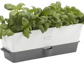 Cole & Mason Self-Watering Triple Potted Herb Keeper H105349