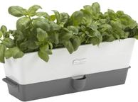 main image for ad Cole &amp; Mason Self-Watering Triple Potted Herb Keeper H105349
