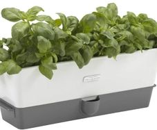 Cole & Mason Self-Watering Triple Potted Herb Keeper H105349