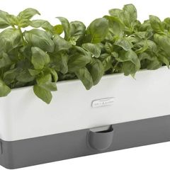 Cole & Mason Self-Watering Triple Potted Herb Keeper H105349