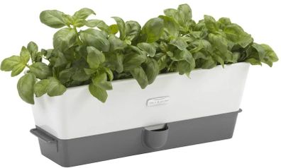 Cole & Mason Self-Watering Triple Potted Herb Keeper H105349