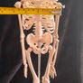 mini human anatomical skeleton model Image 6