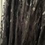 Shein black sparkle dress Image 8