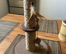 Scratching Post