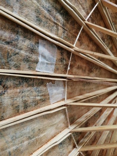 Vintage Oriental Hand Painted Bamboo Umbrella