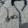 Spiral tie out dog cable and stake Image 2